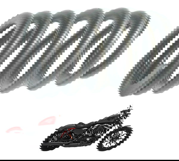 Mola Válvula Sportster 883 Iron 14-19 Original