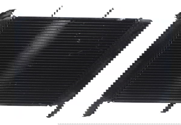 Radiador Yamaha Xj6 N 10-12 Original