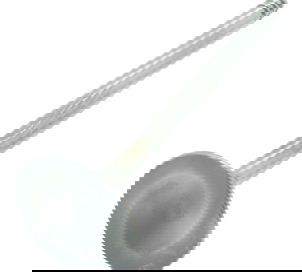 Válvula Admissão Sportster 883 Iron 14-19 Original