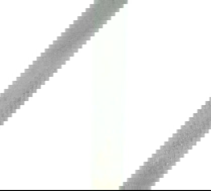 Válvula Admissão Sportster 883 Iron 14-19 Original