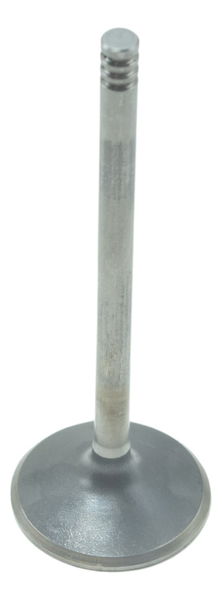 Válvula Admissão Sportster 883 Iron 14-19 Original