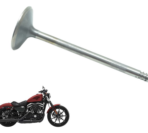 Válvula Admissão Sportster 883 Iron 14-19 Original