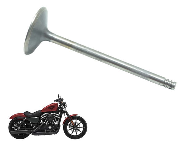 Válvula Admissão Sportster 883 Iron 14-19 Original