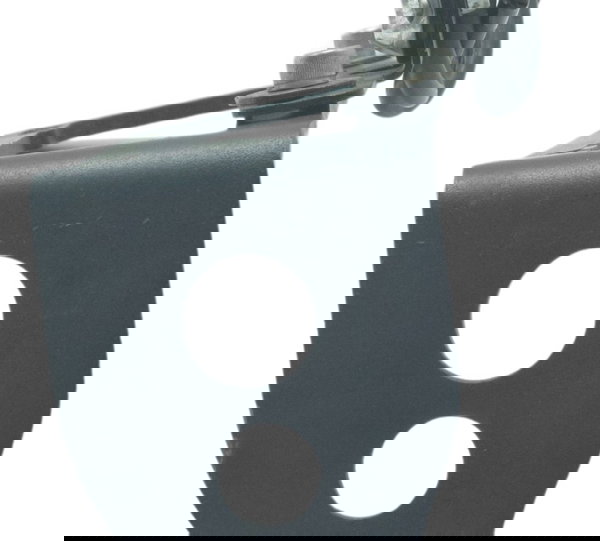 Suporte Placa Lat Paralelo C/det Sportster 883 Iron 14-19