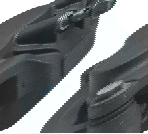 Pinça Freio Dianteira Esquerda Yamaha Xj6 N 10-12 Original