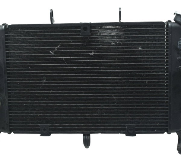 Radiador Yamaha Xj6 N 10-12 Original