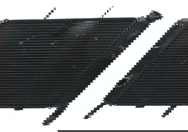 Radiador Yamaha Xj6 N 10-12 Original