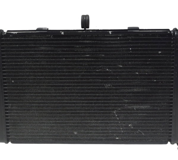Radiador Yamaha Xj6 N 10-12 Original