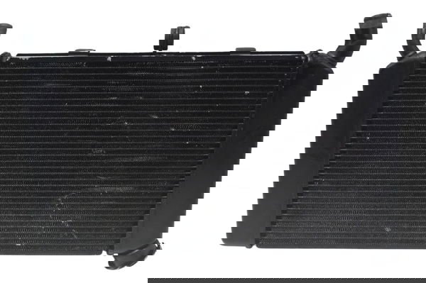 Radiador Yamaha Xj6 N 10-12 Original