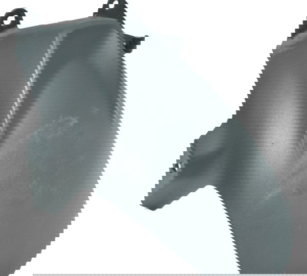 Paralama Traseiro Bmw G 310 R 17-20 Original