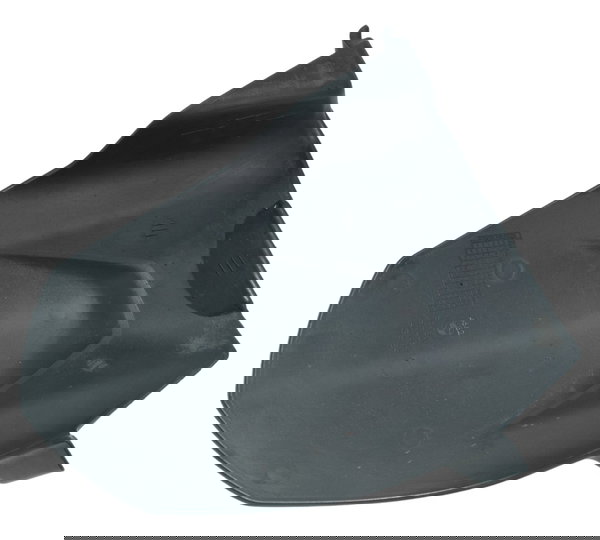 Paralama Traseiro Bmw G 310 R 17-20 Original