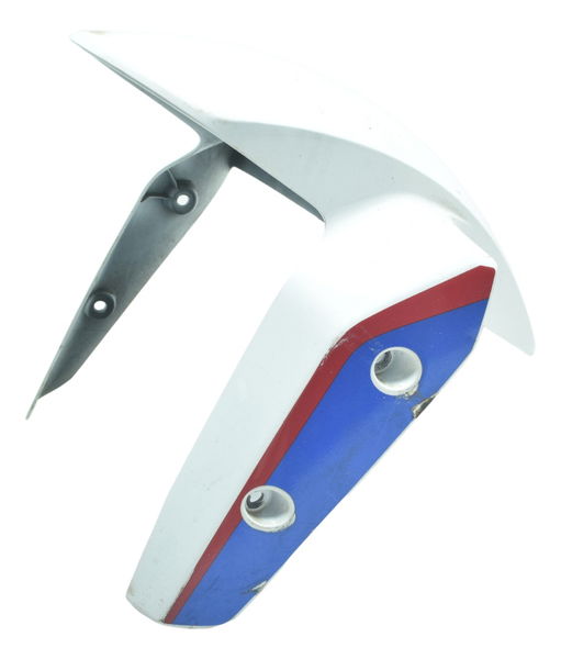 Paralama Dianteiro C/ Detalhes Bmw G 310 R 17-20 Original