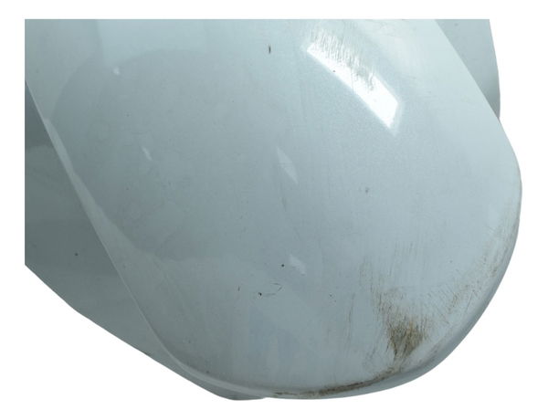 Paralama Dianteiro C/ Detalhes Bmw G 310 R 17-20 Original