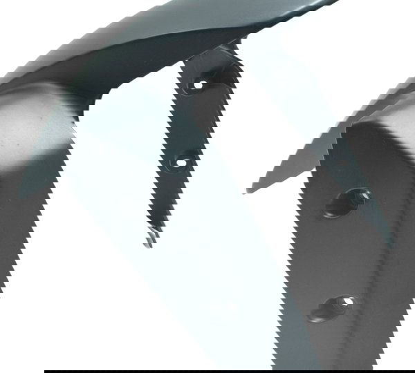 Paralama Dianteiro Bmw G 310 R 17-20 Original