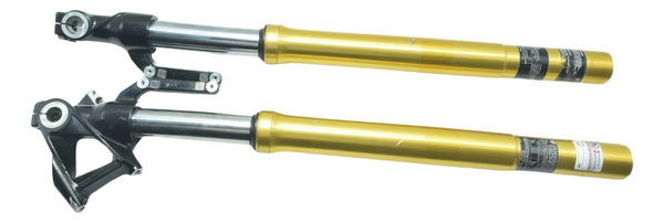 Par Bengalas C/ Detalhes Bmw G 310 R 17-20 Original