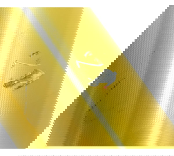 Par Bengalas C/ Detalhes Bmw G 310 R 17-20 Original