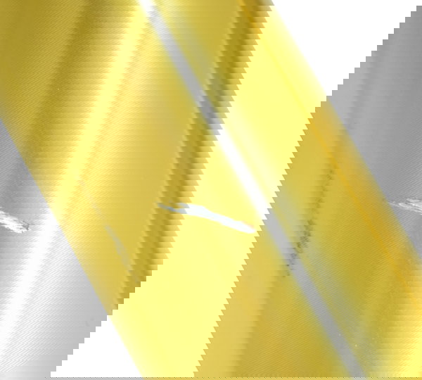 Par Bengalas C/ Detalhes Bmw G 310 R 17-20 Original