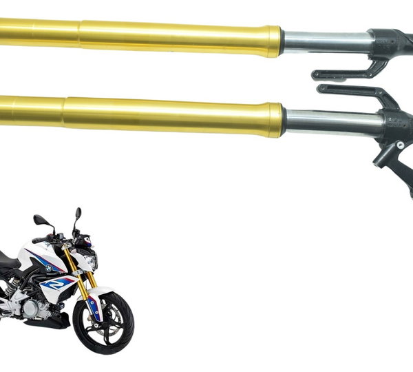 Par Bengalas C/ Detalhes Bmw G 310 R 17-20 Original