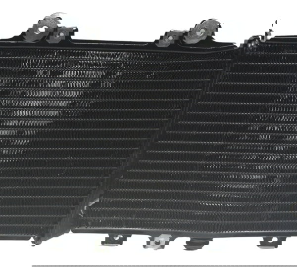 Radiador C/ Avaria Bmw G 310 R 17-20 Original