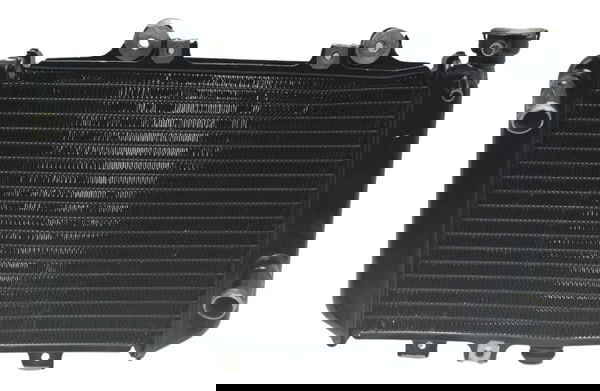 Radiador C/ Avaria Bmw G 310 R 17-20 Original