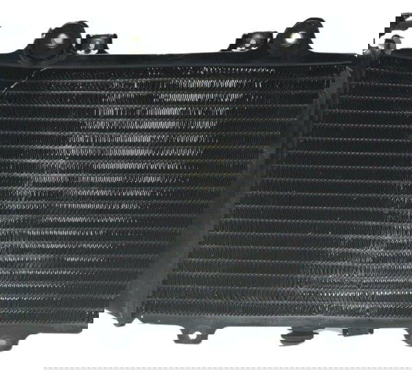 Radiador C/ Avaria Bmw G 310 R 17-20 Original