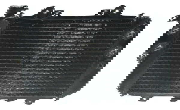 Radiador C/ Avaria Bmw G 310 R 17-20 Original