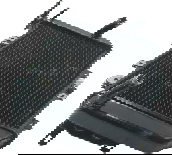 Radiador C/ Avaria Bmw G 310 R 17-20 Original