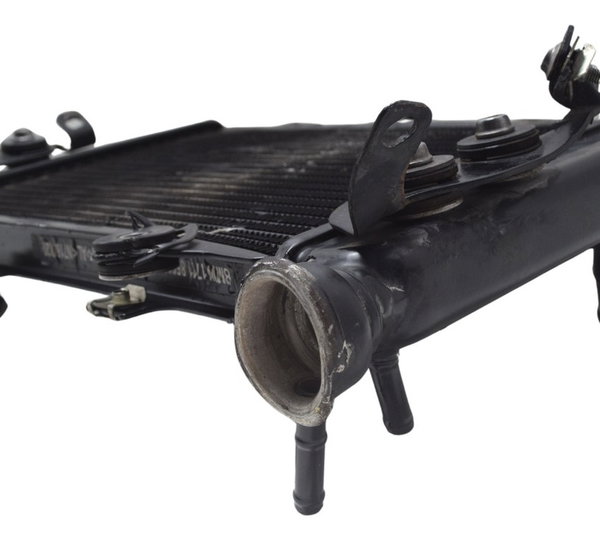 Radiador C/ Avaria Bmw G 310 R 17-20 Original