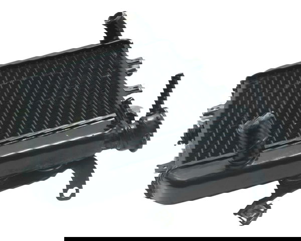 Radiador C/ Avaria Bmw G 310 R 17-20 Original