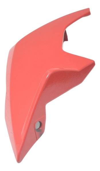 Bananinha Esquerda Farol Bmw G 310 R 17-20 Original
