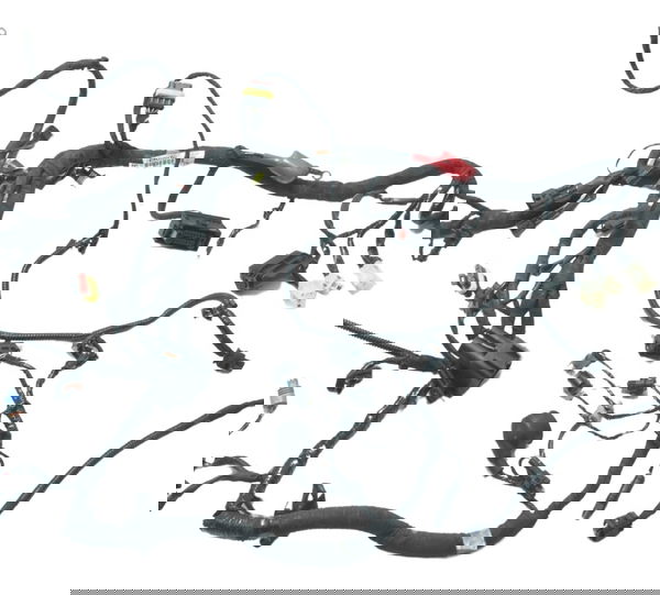 Chicote Principal C/ Abs Bmw G 310 R 17-20 Original