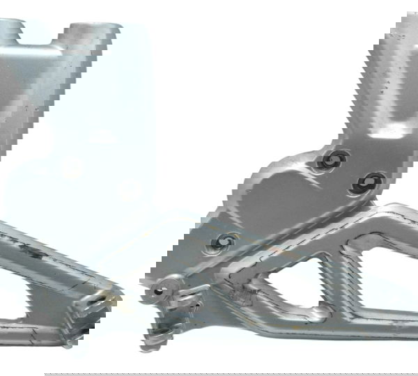 Bacalhau Esquerdo Bmw G 310 R 17-20 Original