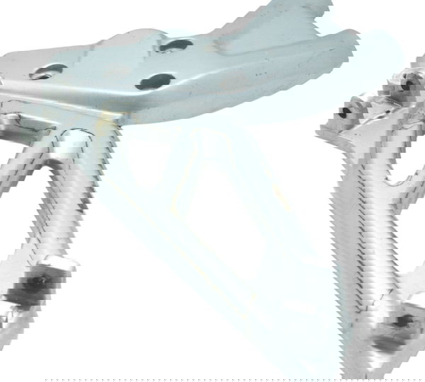 Bacalhau Esquerdo Bmw G 310 R 17-20 Original