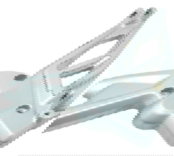 Bacalhau Esquerdo Bmw G 310 R 17-20 Original