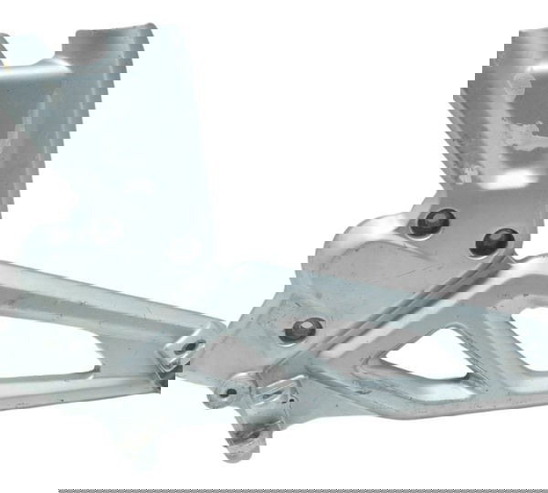 Bacalhau Esquerdo Bmw G 310 R 17-20 Original