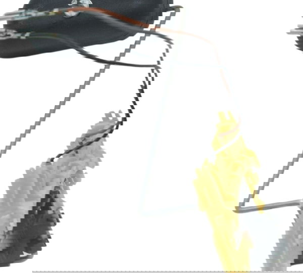 Boia Combustível Bmw G 310 R 17-20 Original