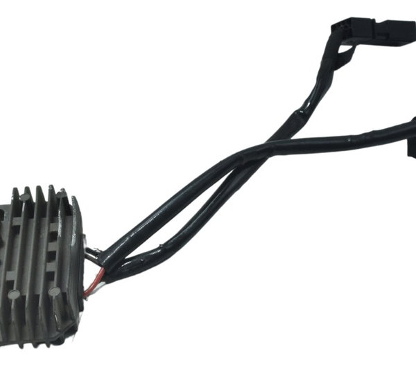 Retificador Carga C/ Avaria Bmw G 310 R 17-20 Original 12v