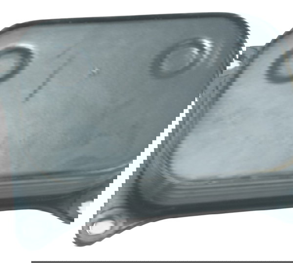 Resfriador Óleo Bmw G 310 R 17-20 Original