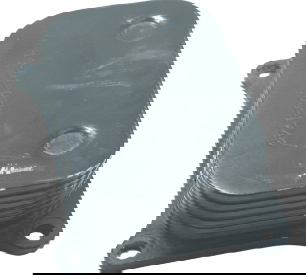 Resfriador Óleo Bmw G 310 R 17-20 Original