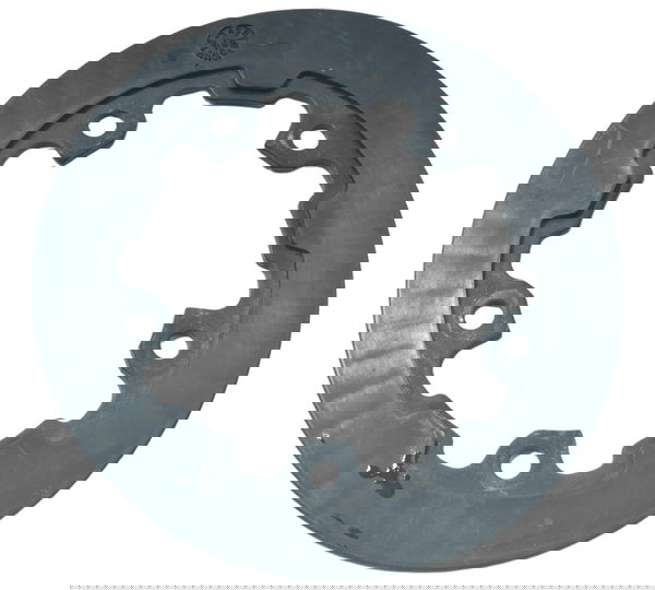 Roda Fônica Bmw G 310 R 17-20 Original