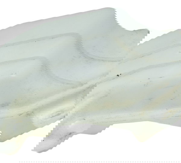 Reservatório Água Bmw G 310 R 17-20 Original