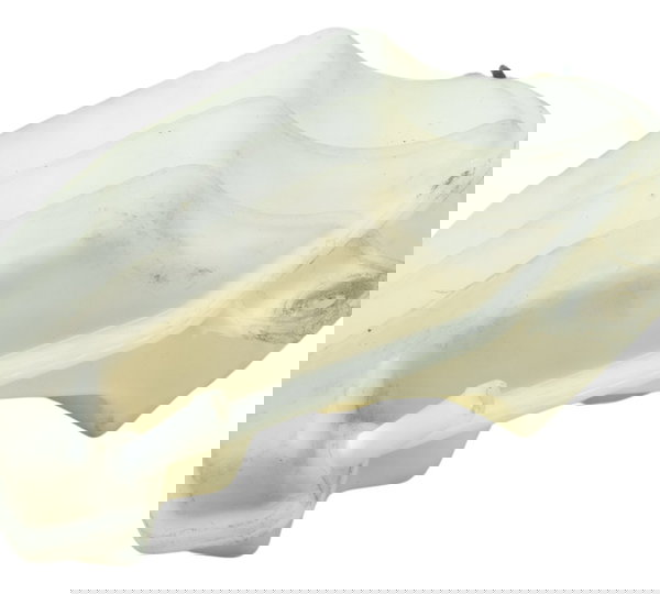 Reservatório Água Bmw G 310 R 17-20 Original