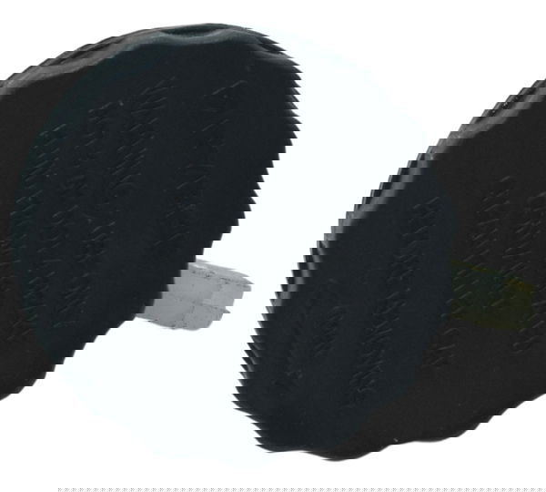 Reservatório Freio Traseiro Bmw G 310 R 17-20 Original