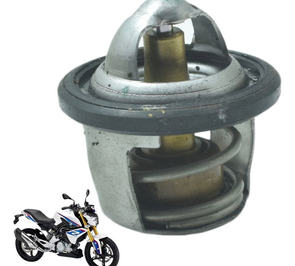 Válvula Termostática Bmw G 310 R 17-20 Original