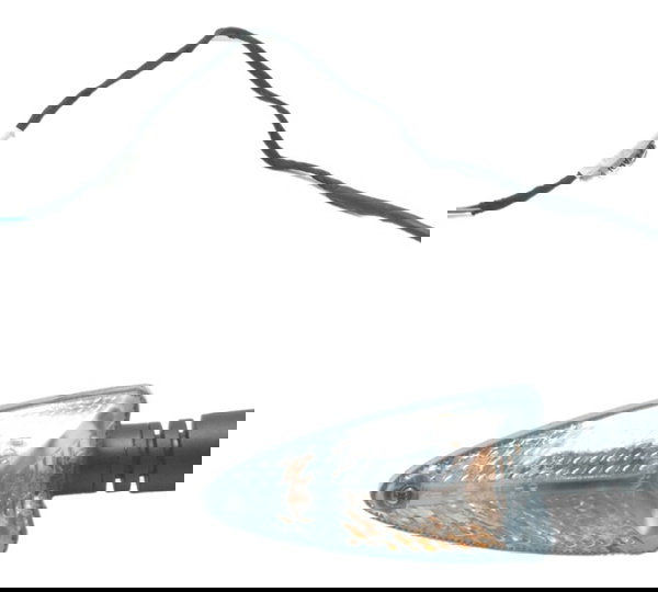 Pisca Traseiro Esquerdo Bmw G 310 R 17-20 Original
