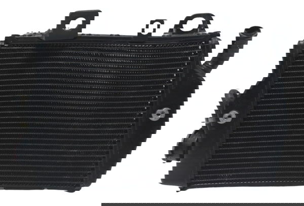 Radiador Direito C/ Avaria Triumph Tiger 900 Rally Pro 20-24