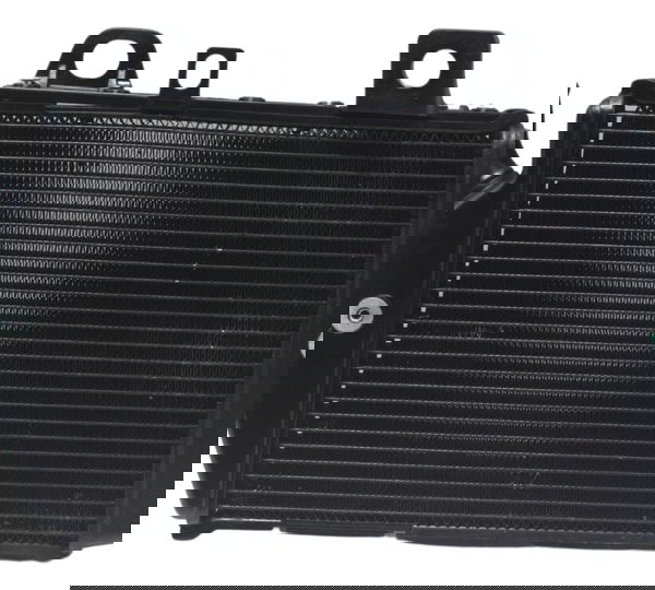 Radiador Esquerdo Triumph Tiger 900 Rally Pro 20-24 Original