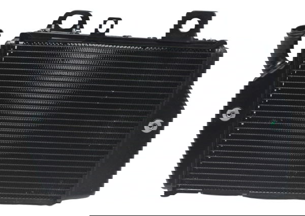 Radiador Esquerdo Triumph Tiger 900 Rally Pro 20-24 Original