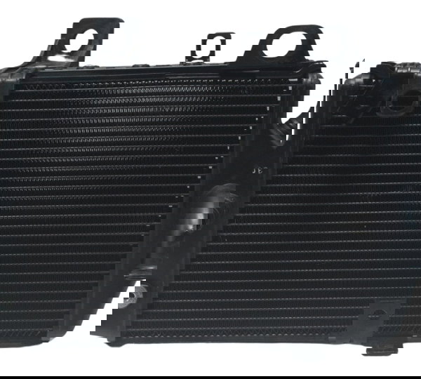Radiador Esquerdo Triumph Tiger 900 Rally Pro 20-24 Original