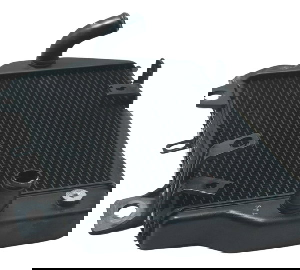 Radiador Esquerdo Triumph Tiger 900 Rally Pro 20-24 Original